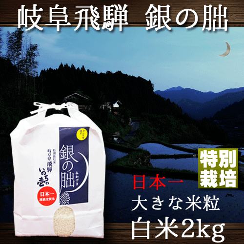 岐阜県飛騨産限定の新ブランド。とにかく米粒が大きい！そして、ウマイ！完全限定品♪　銀の朏 ぎんのみかづき 岐阜県飛騨産 いのちの壱 令和7年産 白米2kg 特別栽培米 内祝い お中元 お歳暮 銀のみかづき