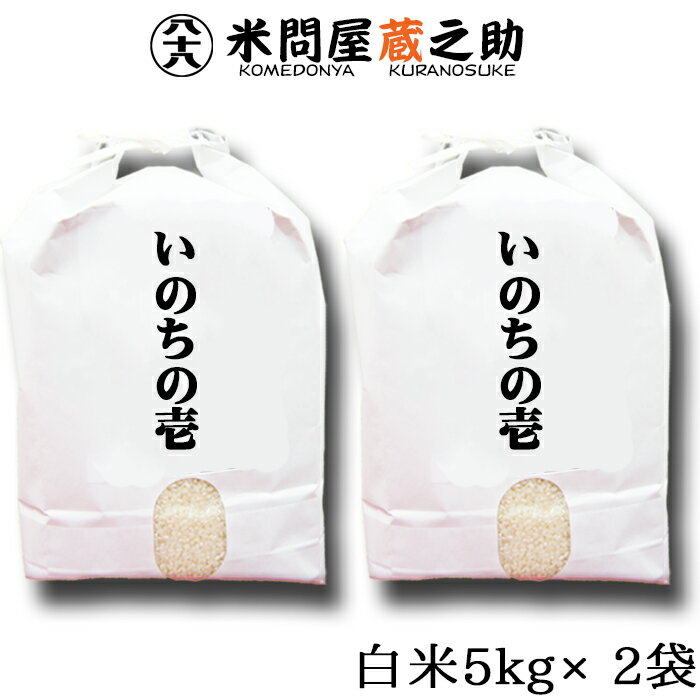 いのちの壱 令和5年産 白米 10kg 送料無料 (一部地域を除く) 内祝い お中元 お歳暮