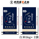 石見銀山 つや姫 令和5年産 1等米 白米 10kg 島根県 世界遺産 特別栽培米 送料無料 （一部地域除く）島根/島根産/石見/銀山/特裁