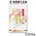 あいちのかおり 5kg 愛知県産 5年産 白米 送料無料 米 精米
