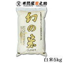 幻の米 5kg 白米 令和元年産 長野 北信州 飯山 みゆき米 送料無料 （一部地域除く）