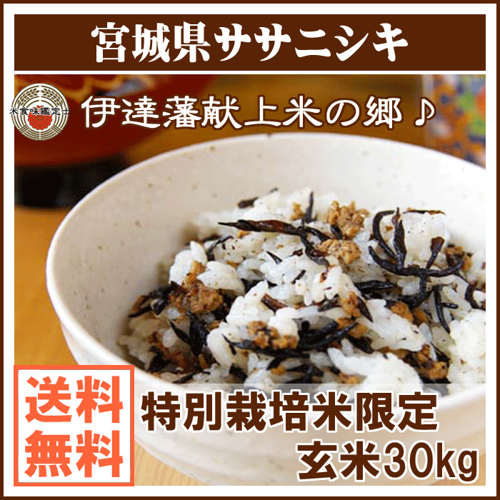 ササニシキ 宮城県産 玄米 30kg【送料無料（一部地域除く）】