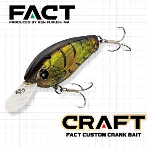 【メール便可】エバーグリーン　FACT　クラフト