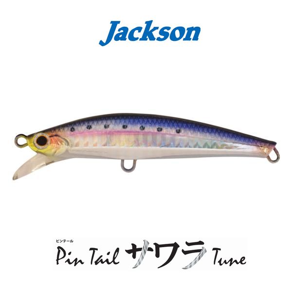 ジャクソン ピンテールサワラチューン サゴシチューンのヘビーバージョンが登場 暮らし の