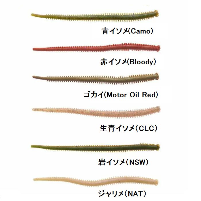 海釣りの定番 イソメ とは その正体や釣り餌としての使い方をご紹介 Kurashi No