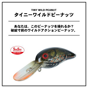 【メール便可】ダイワタイニーワイルドピーナッツ