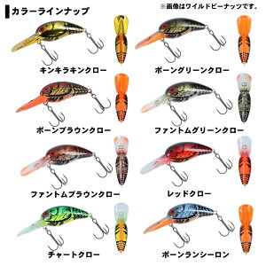 【メール便可】ダイワタイニーワイルドピーナッツ