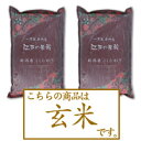 【玄米】新米 令和2年産 新潟県産コシヒカリ5kg×2個