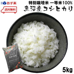 （S）【 お米 新米 】 一等米 100% 新潟県 魚沼産 コシヒカリ 5kg　≪ 送料無料 ≫ 【 お買い物マラソン 】