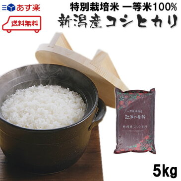 江戸の米蔵 人気の一等米 新米 令和3年産 特別栽培米 新潟県産コシヒカリ 5kg 白米/玄米