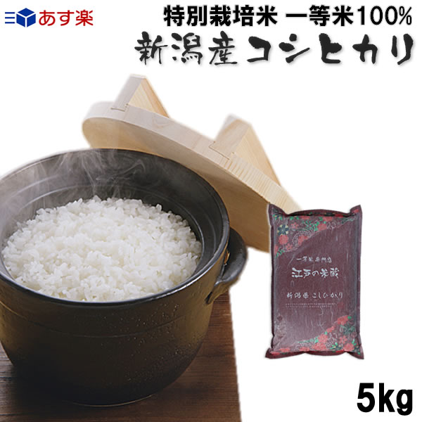 新米 令和1年産 特別栽培米(減農薬・減化学肥料) 一等米100% 新潟県産コシヒカ...