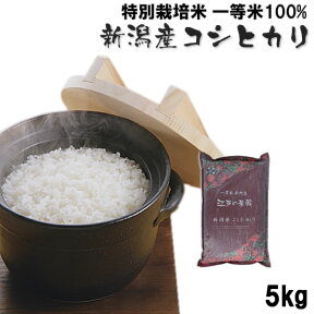 特別栽培米(減農薬・減化学肥料) 一等米100% 新潟県産コシヒカリ5kg