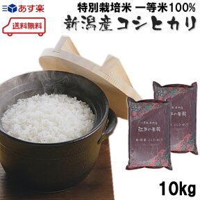 【 米 10kg 送料無料 】江戸の米蔵 新米 令和3年産 一等米 特別栽培米(減農薬・減化学肥料) 新潟県産コシヒカリ 白米 5kg×2個(10kg)