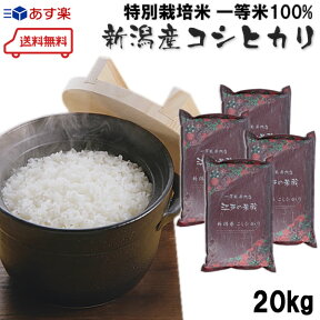 送料無料 特別栽培米(減農薬・減化学肥料)新潟県産コシヒカリ5kg×4個