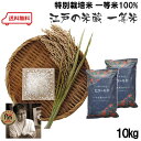 初代【ブレンド米王】受賞 贅沢ブレンド『江戸の米蔵』一等米 5kg×2個【毎回特値引き】