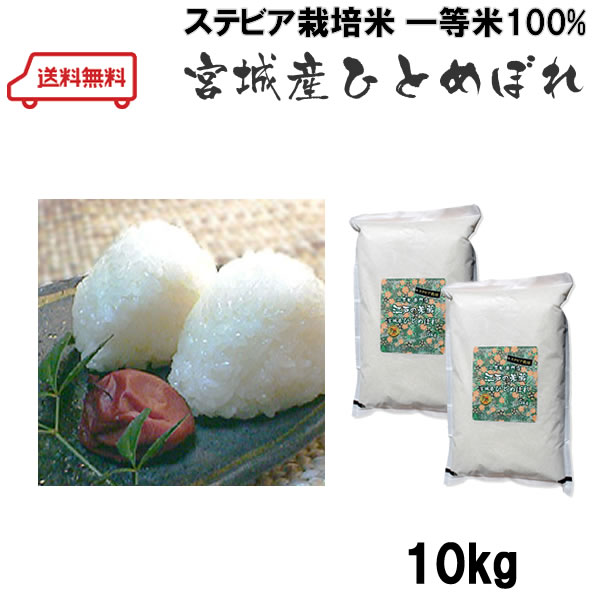 宮城産 ひとめぼれ 【 米 10kg 送料無料 】ステビア栽培米(残留農薬ゼロ)宮城県産ひとめぼれ　 5kg×2個(10kg) 令和5年産