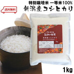 【 1000円 ポッキリ 送料無料 訳アリ グルメ 食品】新米 令和4年産 一等米 新潟県産コシヒカリ1kg 人気の美味しいお米 お試し