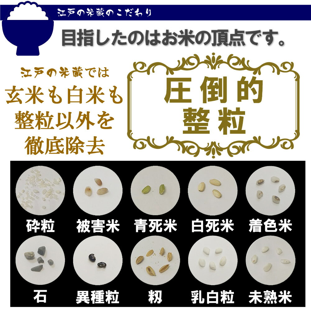江戸の米蔵 人気の一等米 新米 令和3年産 特別栽培米 新潟県産コシヒカリ 5kg 白米/玄米