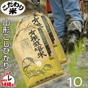 【こだわり米】「有機栽培米こしひかり」（山形県置賜地方産）10kg【あす楽対応】白米・玄米・3分搗き・7分搗き