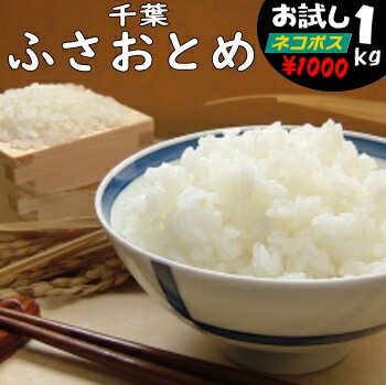 【1購入合計1個まで】【こめひこ米】千葉県産 ふさおとめ 1キロ白米・玄米・3分搗き・7分搗き