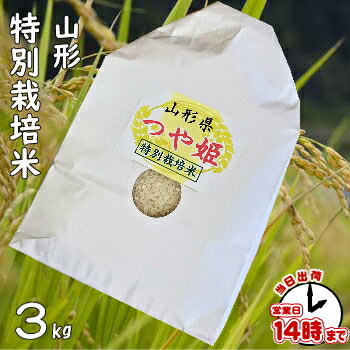 【1購入合計1個まで】山形県産『つや姫』3キロ【あす楽】白米・玄米・3分搗き・7分搗...