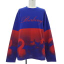バーバリー BURBERRY Tシャツ【中古】