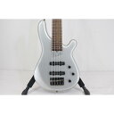 FERNANDES GRAVITY 5X【中古】