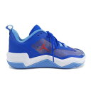 ナイキ ジョーダン NIKE JORDAN シューズ【中古】