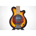 PIGNOSE PGG-200【中古】