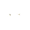 ノジェス ダイヤモンド ピアス【中古】