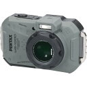 WG-1000【中古】