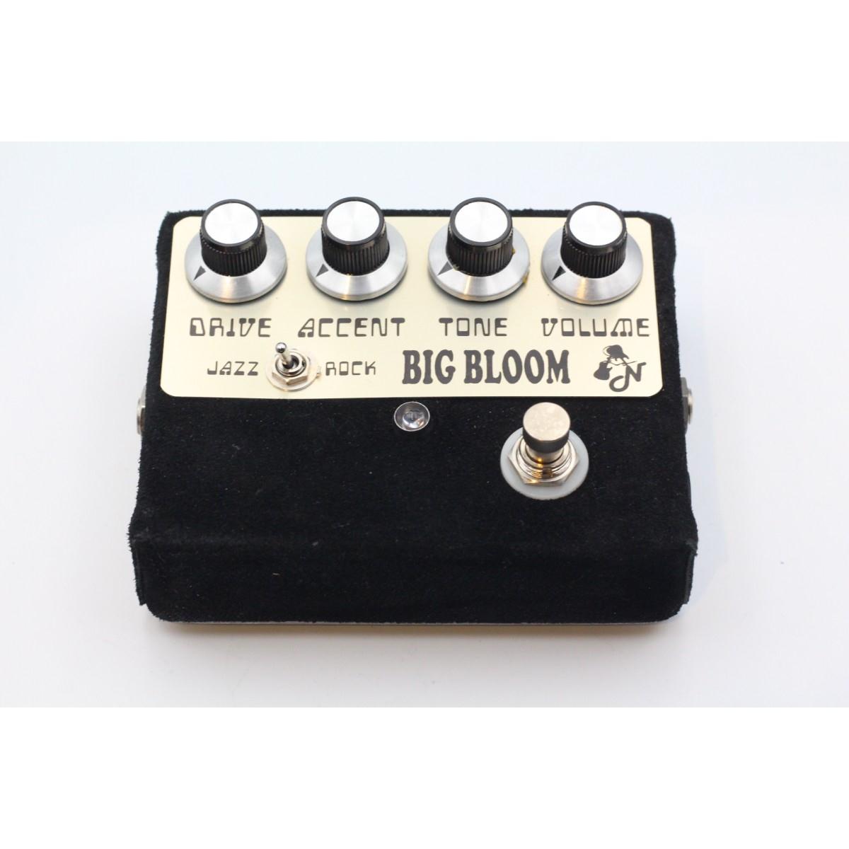 Amplified Nation BIG BLOOM【中古】