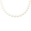 【新品】シルバークラスプ アコヤパール ネックレス 7-7.5mm【新品】