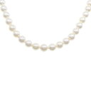 シルバークラスプ アコヤパール ネックレス 7.5-8mm【中古】