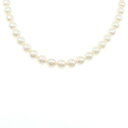 シルバークラスプ アコヤパール ネックレス 7-7.5mm【中古】