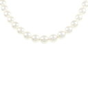 【新品】シルバークラスプ アコヤパール ネックレス 7.5-8.0mm【新品】