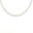【新品】シルバークラスプ アコヤパール ネックレス 6.5-7mm【新品】