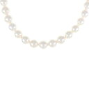 【新品】シルバークラスプ アコヤパール ネックレス 8-8.5mm【新品】
