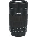 CANON EF-S55-250mm F4-5.6IS STM【中古】(2)