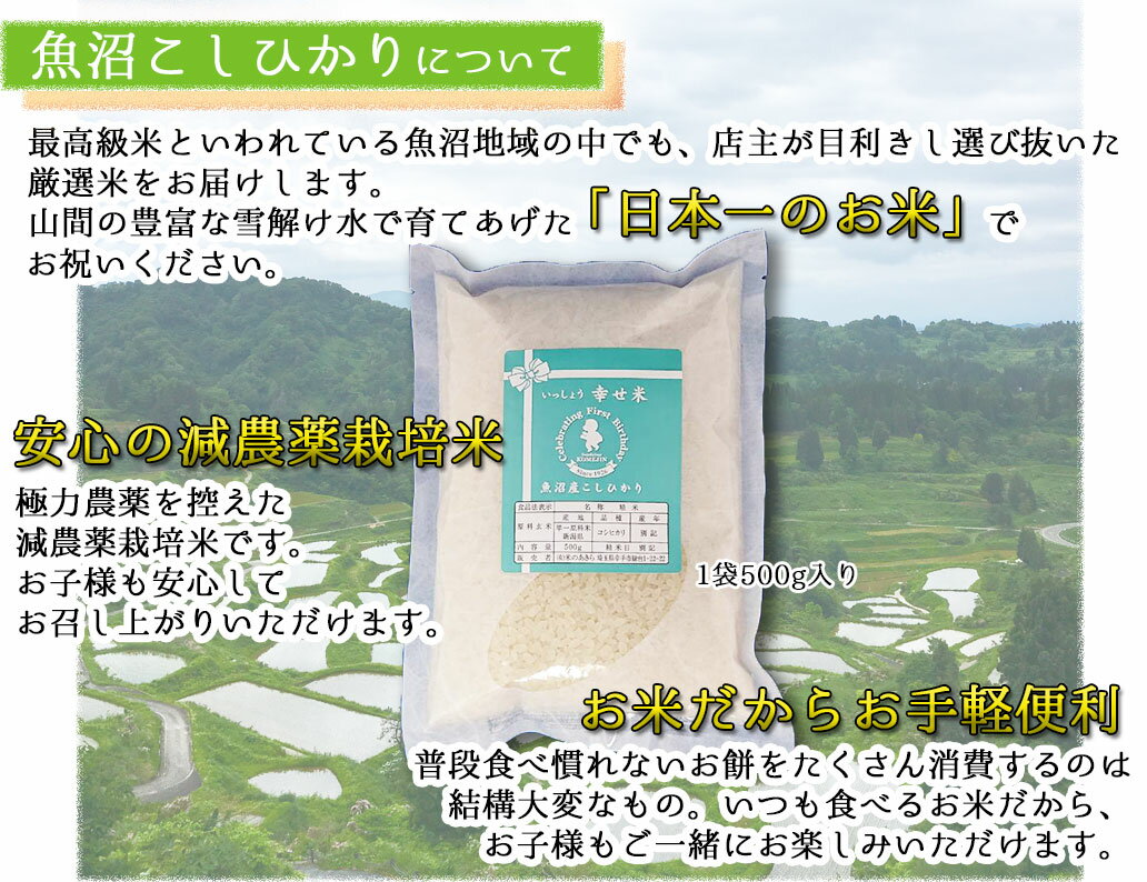 一升 餅 代わり お祝いセット 小分け おすそ分け 送料無料 アンパンマン リュック 風呂敷 名前入り 一升米 一生餅 背負い餅 風呂敷 1歳 誕生日 ガーランド 選び取りカード お誕生餅