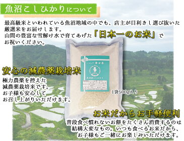 【スーパーセール限定!ポイント2倍】一升 餅 代わり 【小分け 一升米】 セット 送料無料☆\一生幸せ米/☆ 1歳 誕生日 ベビー アンパンマン リュックセット 名前入り 選び取りカード ガーランド おすそ分け