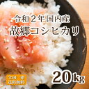 故郷コシヒカリ 令和2年産 国内産コシヒカリ100％ ブレンド米 20kg お得米 白米 安い 10kg×2 送料無料