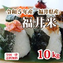 令和5年産 福井県産10割 福井米 ブレンド米 10kg 人気商品 お得米 白米 安い 10kg×1 送料無料