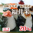 令和5年産 福井県産10割 福井米 ブレンド米 20kg 人気商品 お得米 白米 安い 10kg×2 送料無料