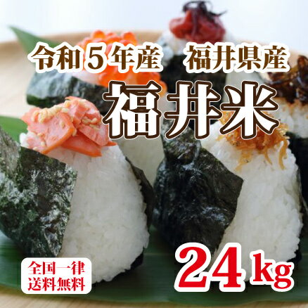 楽天米印　楽天市場店令和5年産 福井県産10割 福井米 ブレンド米 24kg 人気商品 お得米 白米 安い 8kg×3 送料無料