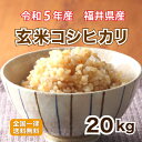 玄米 令和5年産 福井県産コシヒカリ20kg 単一原料米 栄養満点 お米 安い 10kg×2 送料無料