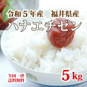 令和5年産 福井県産ハナエチゼン5kg 白米 安い 美味しい ブランド米 送料無料 単一原料米でこの価格！