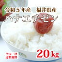 人気ランキング第29位「米印　楽天市場店」口コミ数「0件」評価「0」令和5年産 福井県産ハナエチゼン 20kg 白米 安い 美味しい ブランド米 送料無料 5kg×4 単一原料米でこの価格！