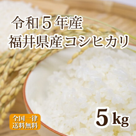 令和5年産 福井県産コシヒカリ 5kg 白米 コシヒカリ 単一原料米 安い 美味しい 送料無料