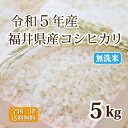 令和5年産 無洗米福井県産コシヒカリ 5kg 白米 コシヒカリ 単一原料米 安い 送料無料